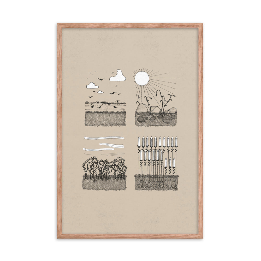 Parable of the Sower & Four Soils - Framed