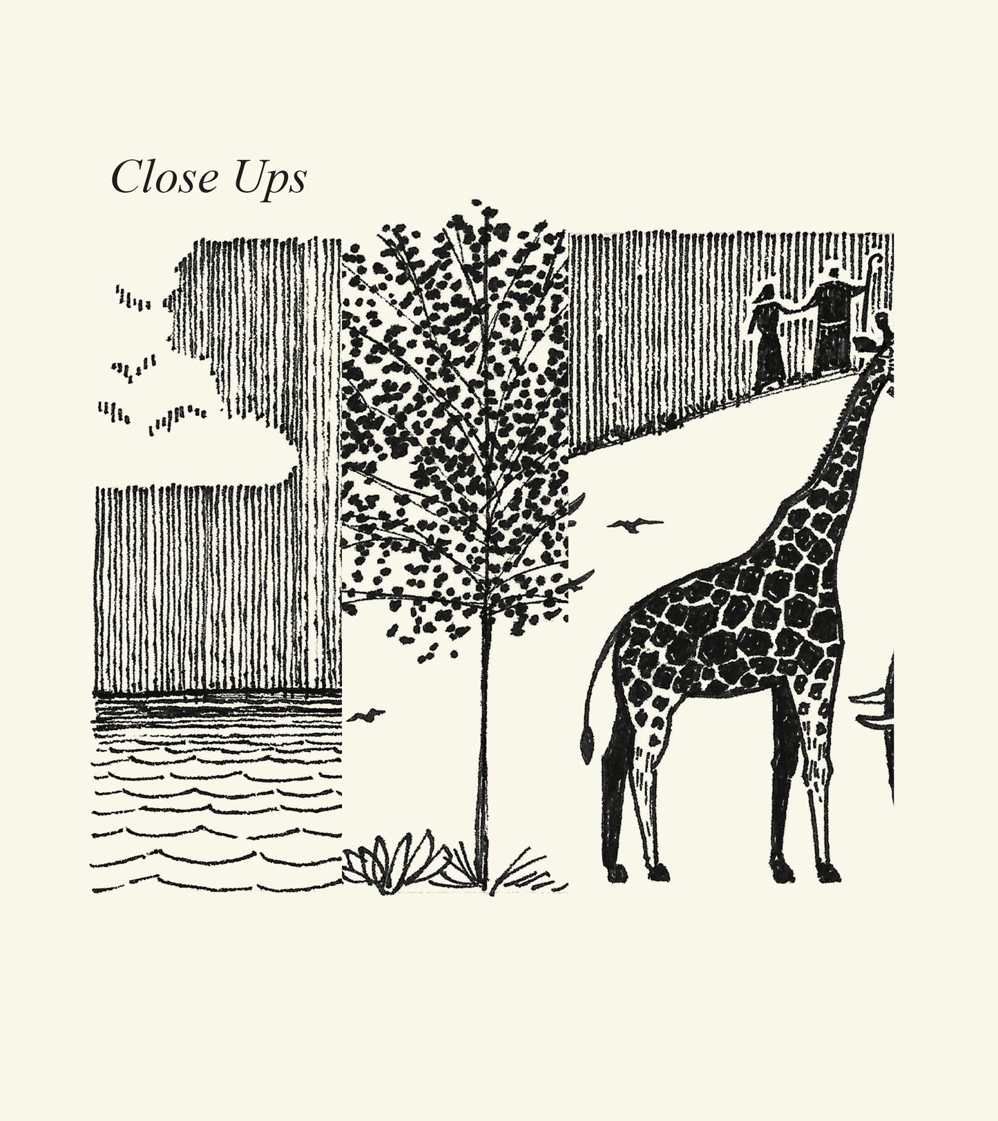 Lord of All Creation Set - Digital Print