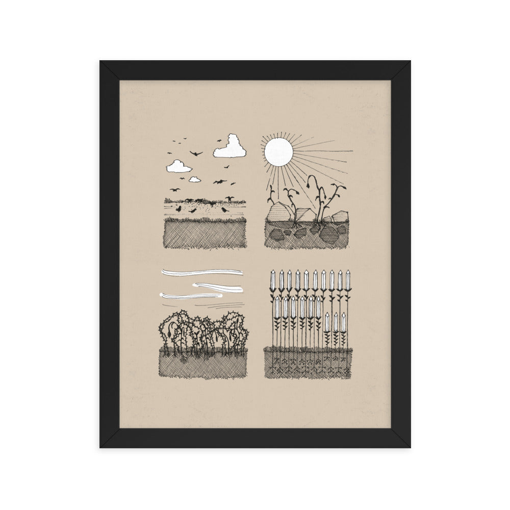 Parable of the Sower & Four Soils - Framed