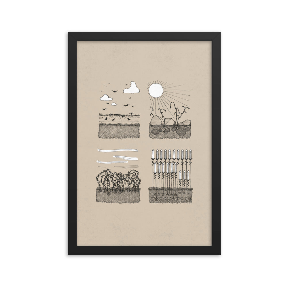 Parable of the Sower & Four Soils - Framed