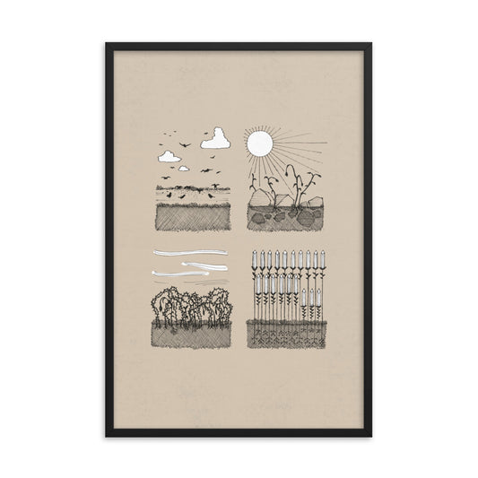 Parable of the Sower & Four Soils - Framed