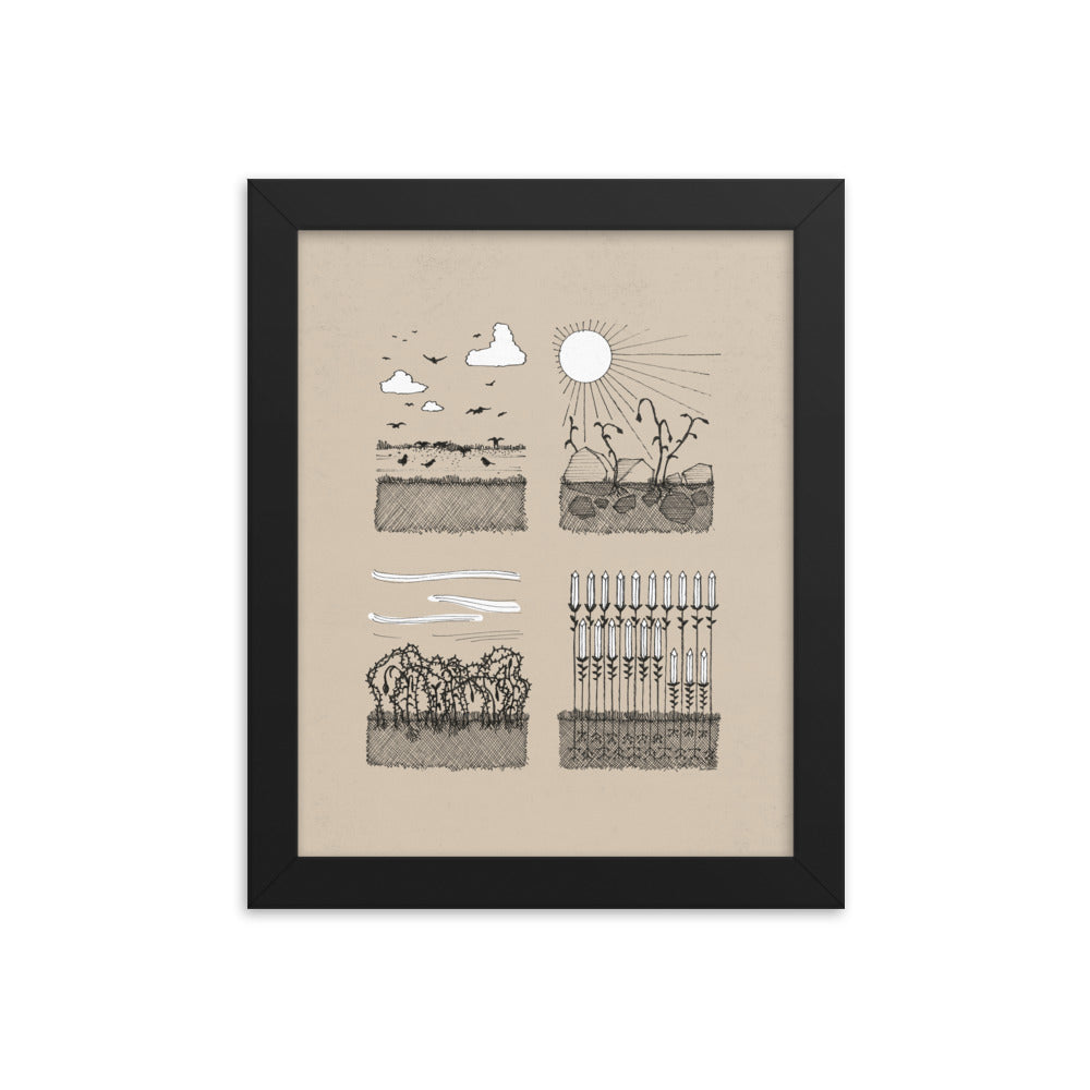 Parable of the Sower & Four Soils - Framed