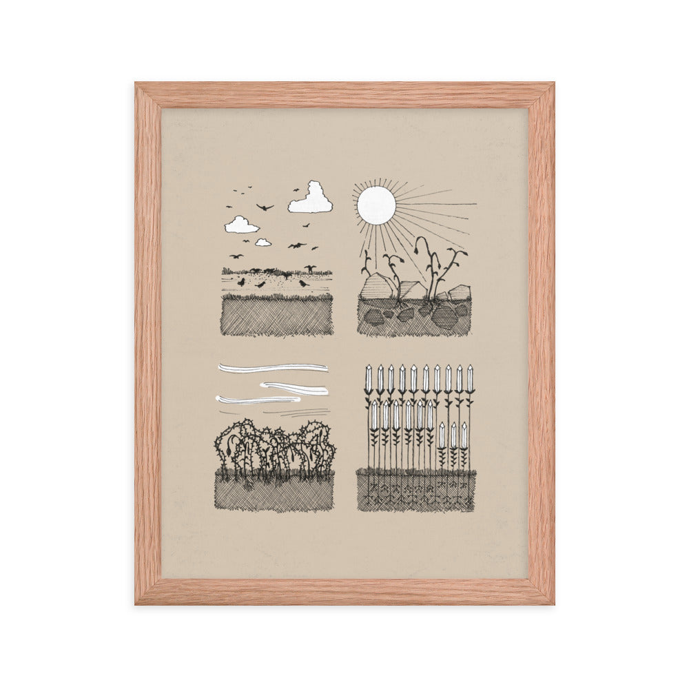 Parable of the Sower & Four Soils - Framed