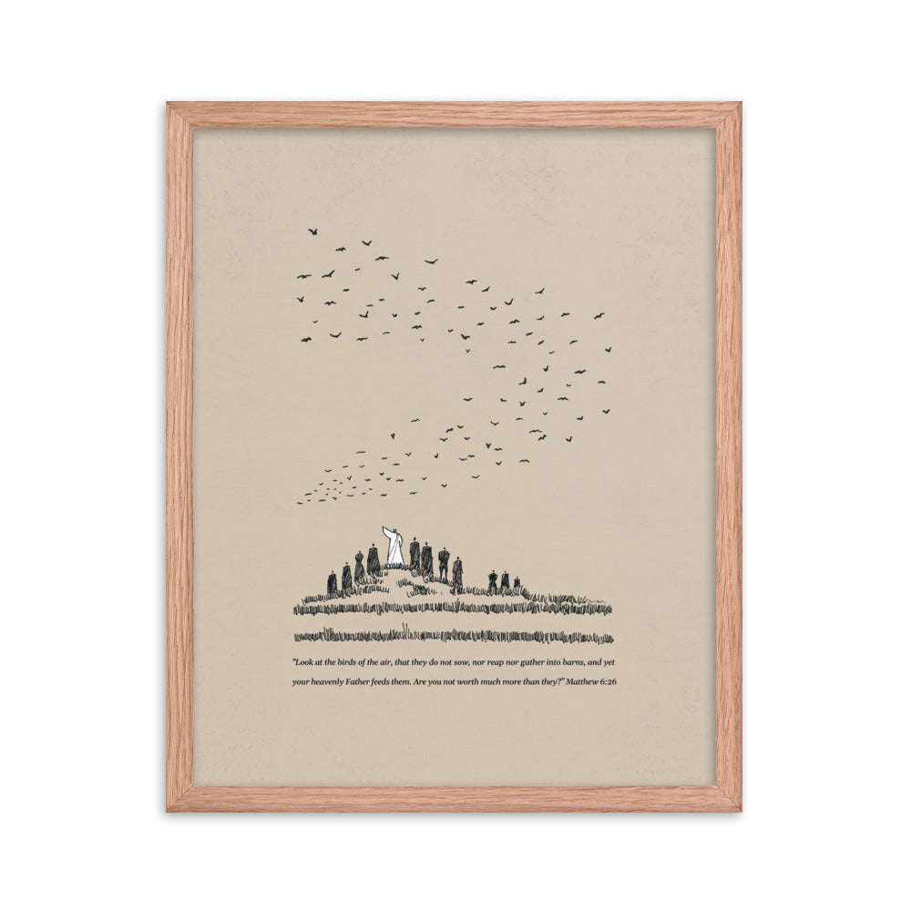 Look at the Birds Matthew 6:26 - Framed