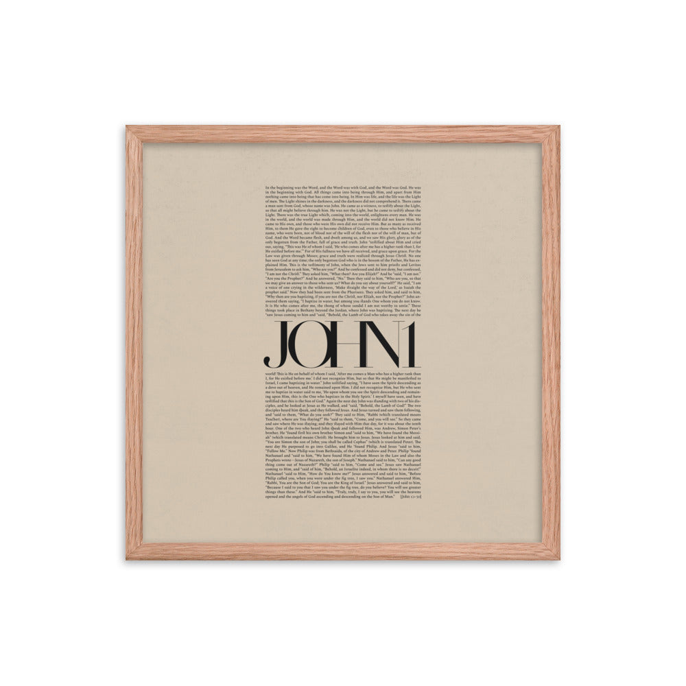 John 1 Full Chapter Minimalist Design - Framed