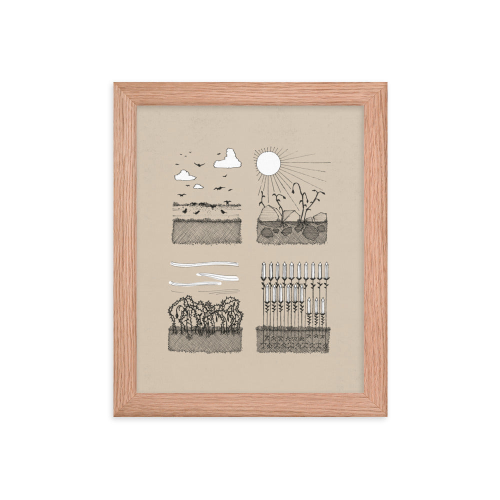 Parable of the Sower & Four Soils - Framed