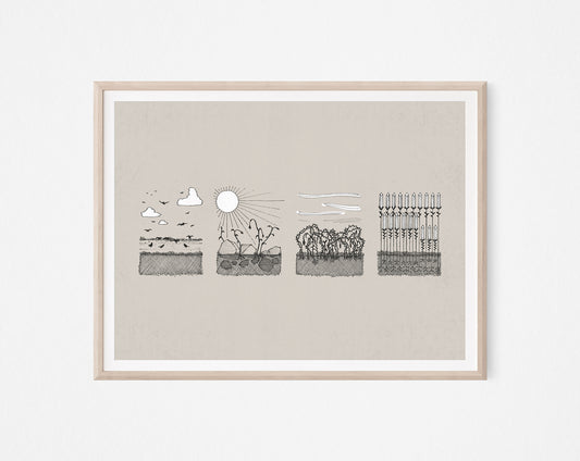 Parable of the Sower & Soils - Digital Print